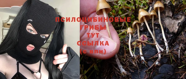 крисы Майский