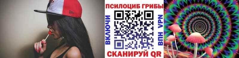 сколько стоит  Городище  Галлюциногенные грибы MAGIC MUSHROOMS 