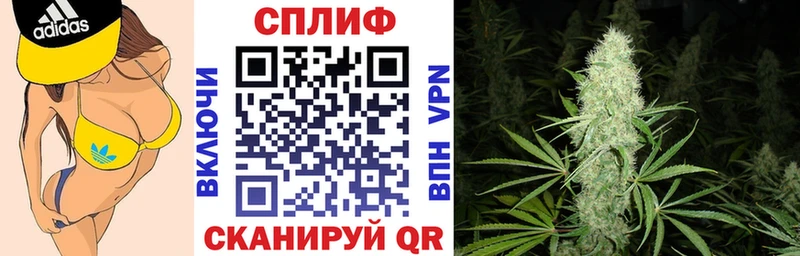 купить наркоту  Городище  Бошки Шишки THC 21% 